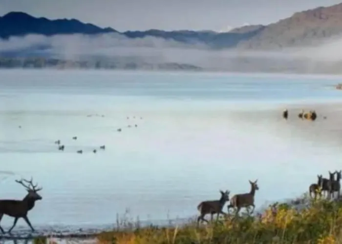 Superb Large 5 Bedroom Home, 6 Beds, Sleeps 10-11 Guest, With Lovely Mountain Views Killarney